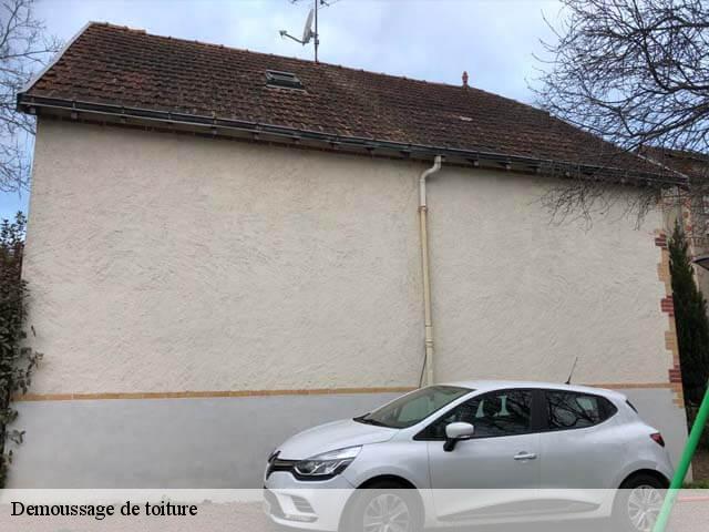 Demoussage de toiture  37460