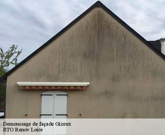 Demoussage de façade  gizeux-37340 RTO Renov Loire